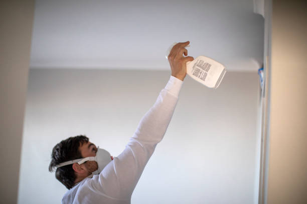 Best Best Mold Removal Companies  in Lofall, WA