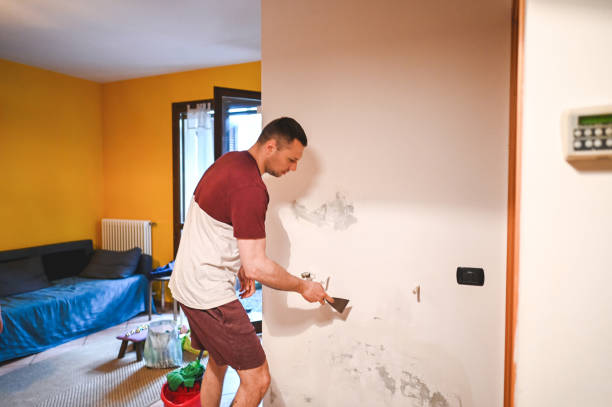 Best Mold Remediation  in Lofall, WA